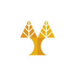 Πανεπιστήμιο Κύπρου